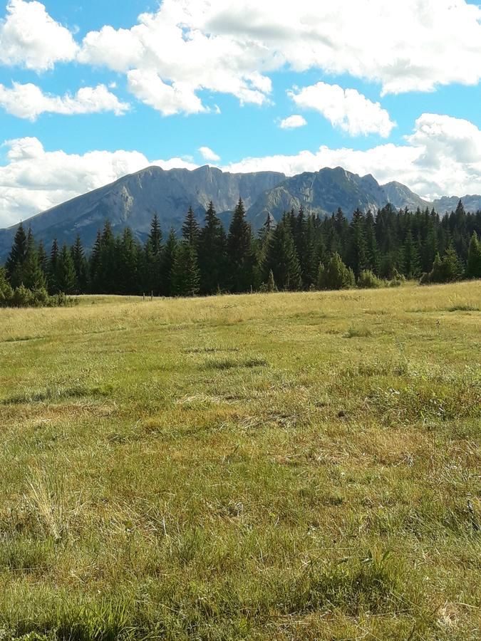 Дома для отпуска Holiday Home Jabucilo Жабляк