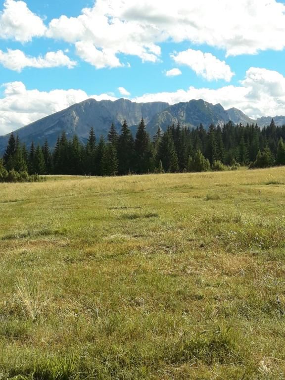 Дома для отпуска Holiday Home Jabucilo Жабляк