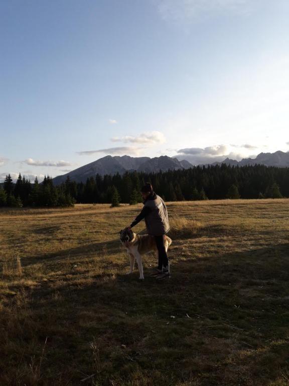 Дома для отпуска Holiday Home Jabucilo Жабляк