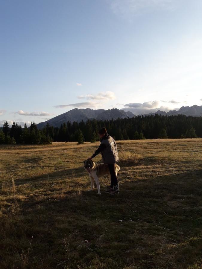 Дома для отпуска Holiday Home Jabucilo Жабляк