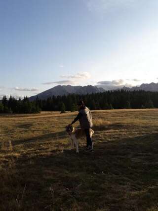 Дома для отпуска Holiday Home Jabucilo Жабляк Двухместный номер с 1 кроватью, вид на парк-33