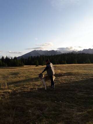 Дома для отпуска Holiday Home Jabucilo Жабляк Двухместный номер с 1 кроватью, вид на парк-5