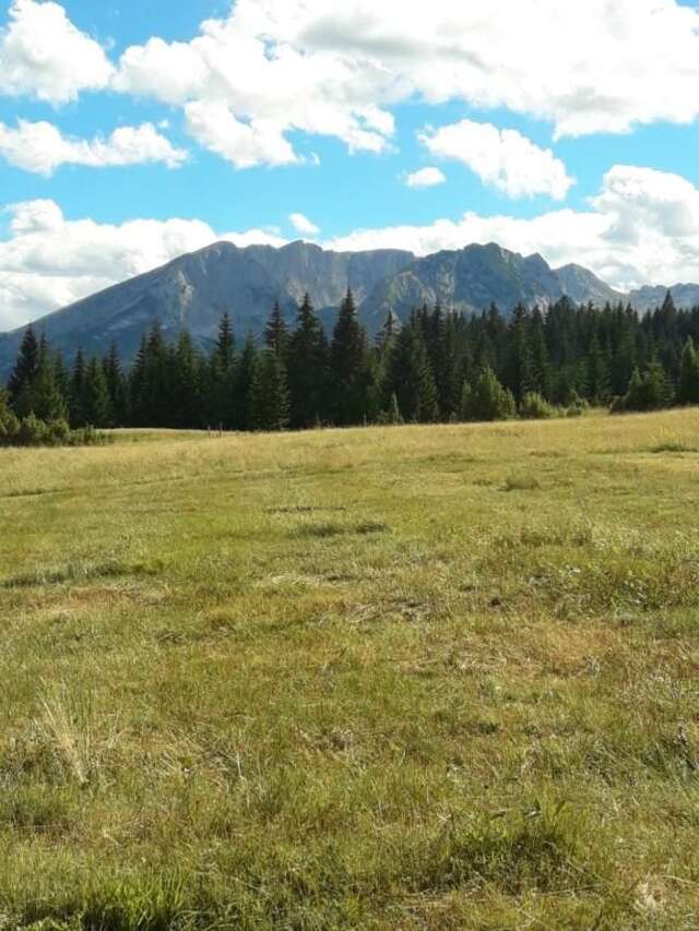 Дома для отпуска Holiday Home Jabucilo Жабляк-23