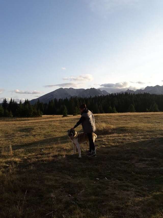 Дома для отпуска Holiday Home Jabucilo Жабляк-7